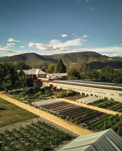 The Agrarian Kitchen