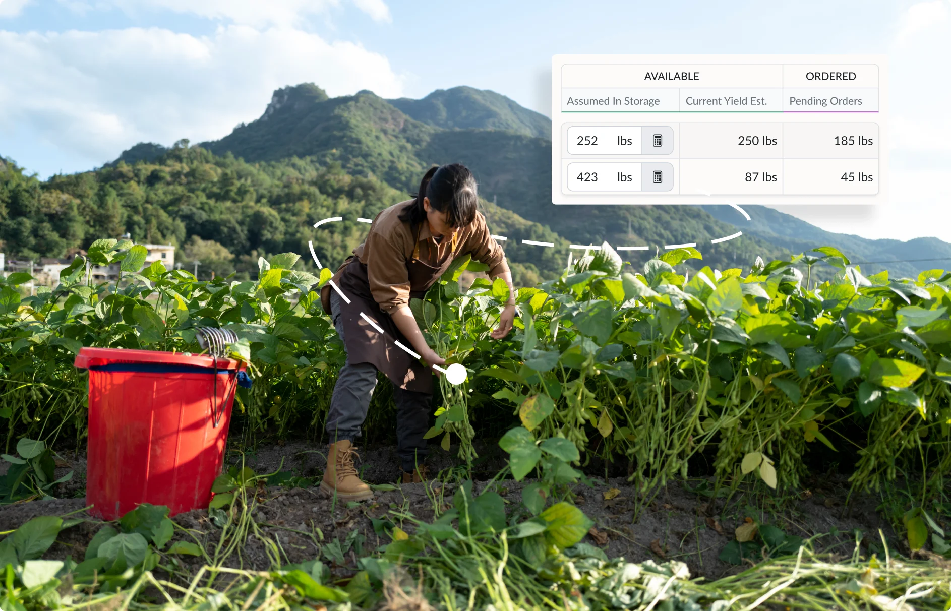 Plan your harvests more efficiently