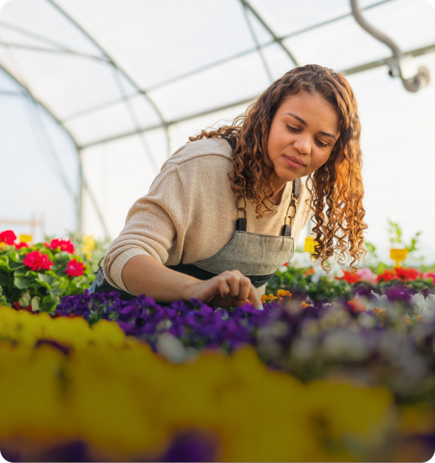 Nursery Management