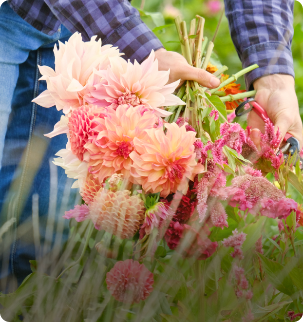 Flower Farm Management