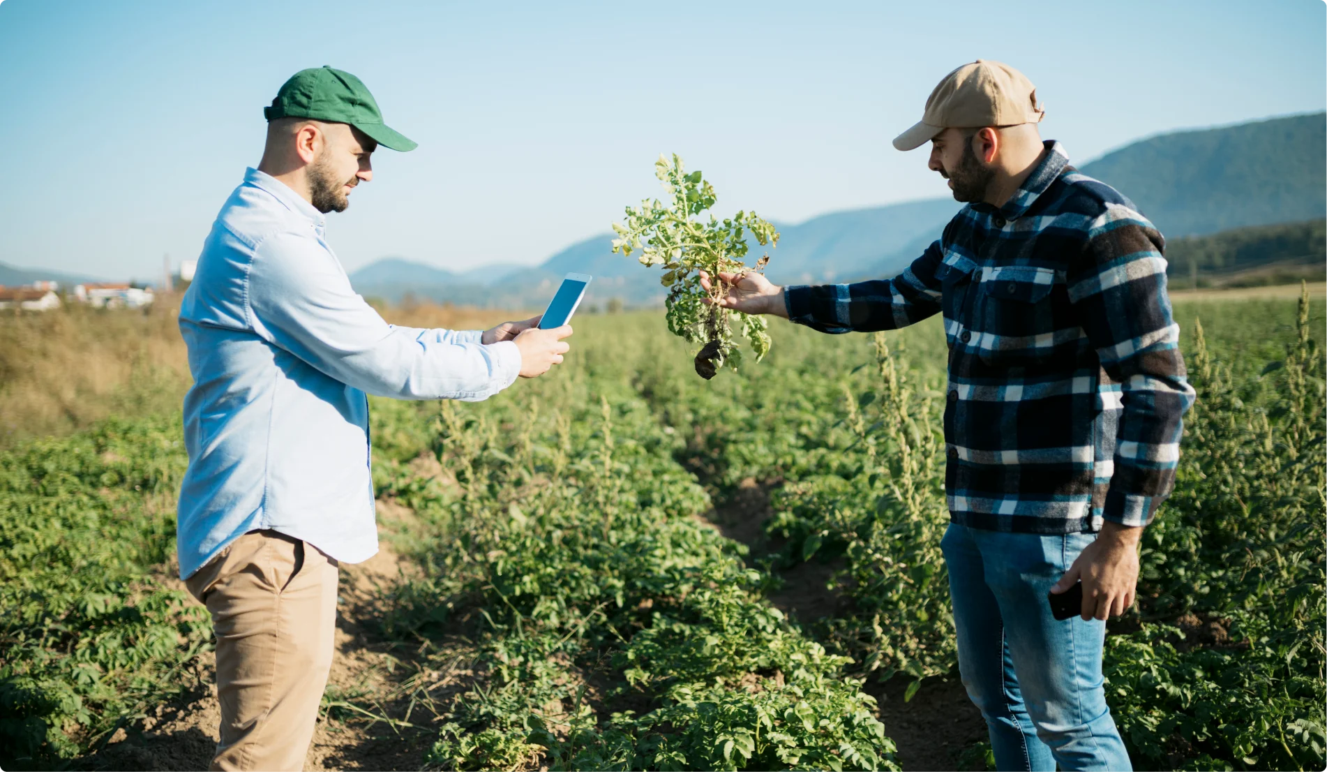 Monitor crop health and boost yields.