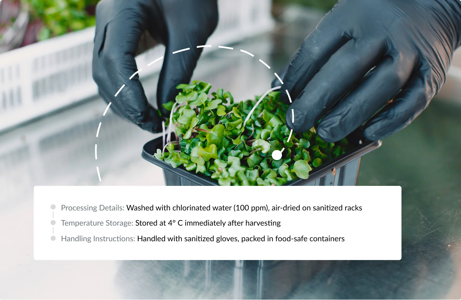 Ensure food safety with complete traceability.