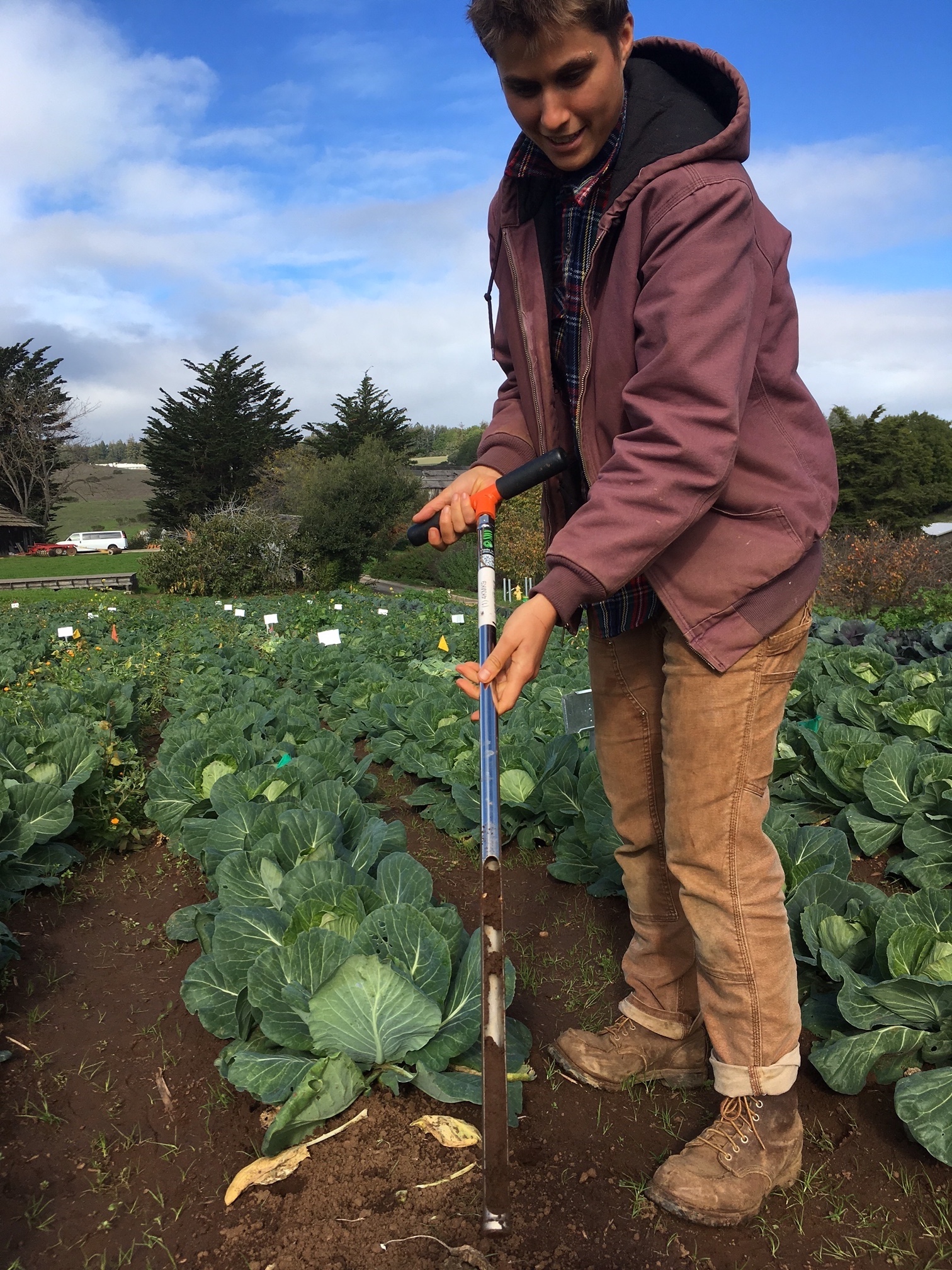 soil-test-basics-for-the-organic-farmer-tend